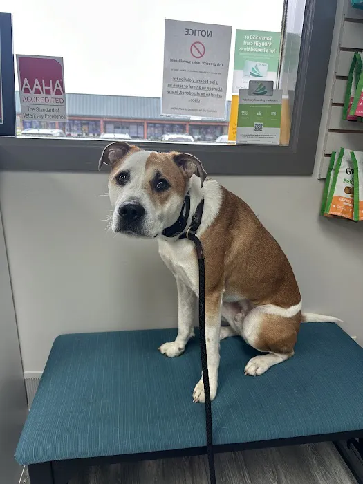 Highland Veterinary Hospital 4