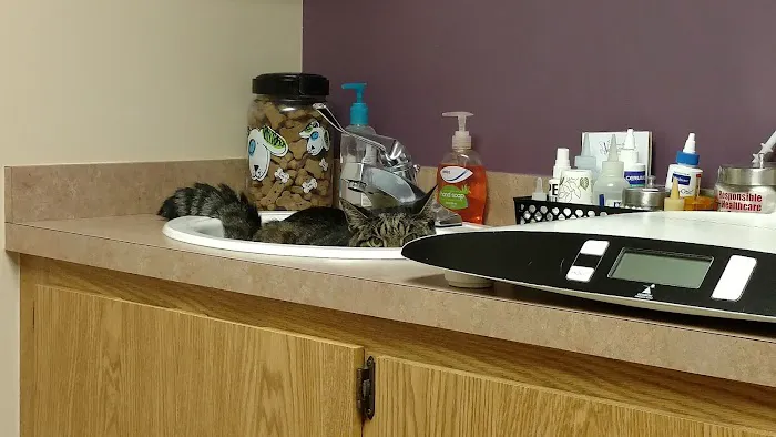 Highland Veterinary Hospital 5