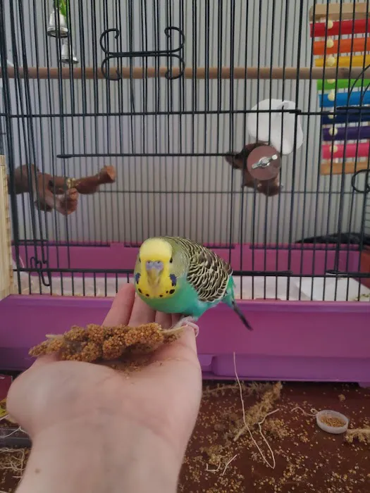 Pet Supermarket 6