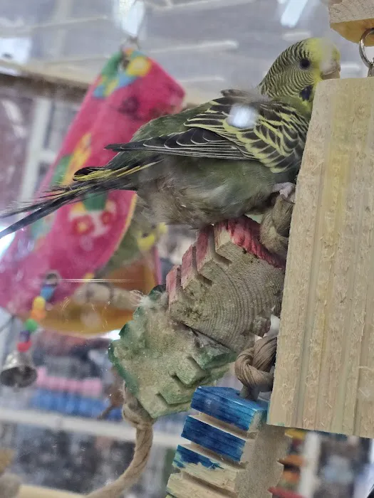 Pet Supermarket 4