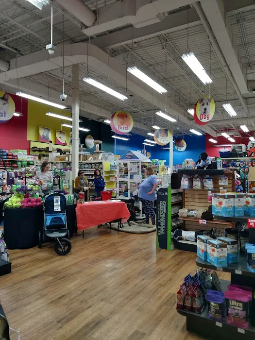 Pet Supermarket 10