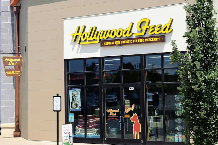 Hollywood Feed 12