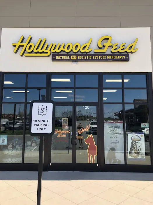 Hollywood Feed 12
