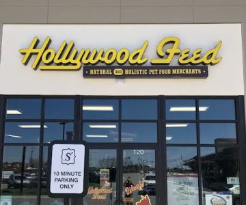 Hollywood Feed