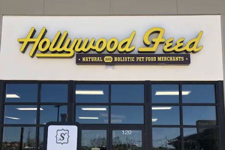 Hollywood Feed