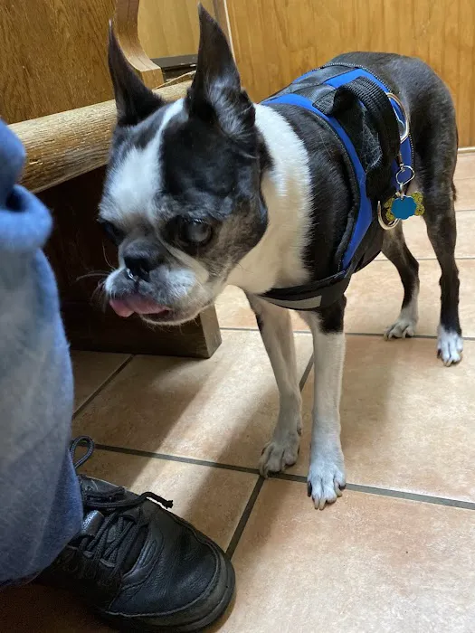 Veterinary Care Services of Milford 12