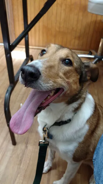 Veterinary Care Services of Milford 12