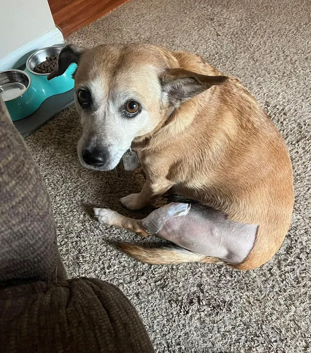 Veterinary Care Services of Milford 12