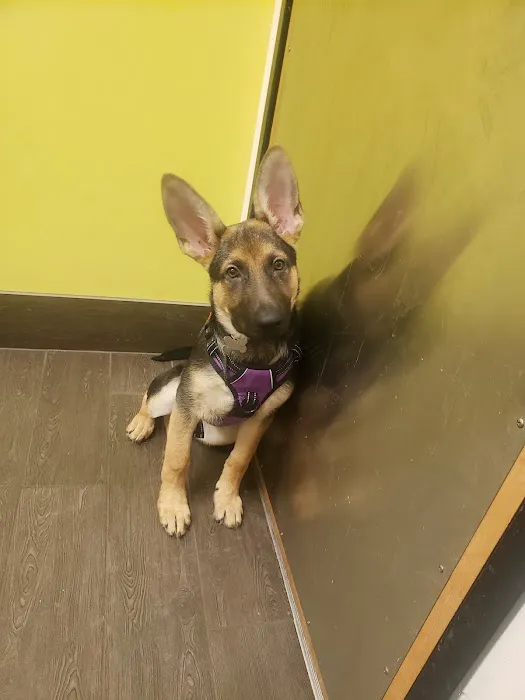 Banfield Pet Hospital 6