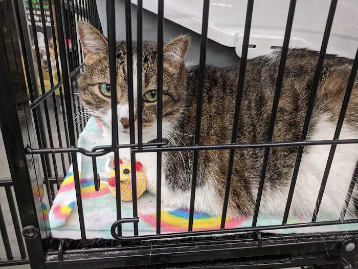 Pet Supplies Plus Lexington 12