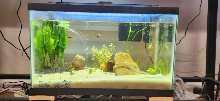 Dustin's Fishtanks 12
