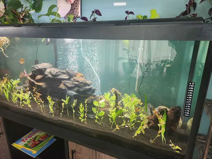 Dustin's Fishtanks 12