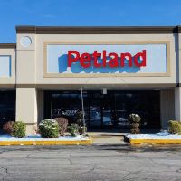 Petland Lexington ico