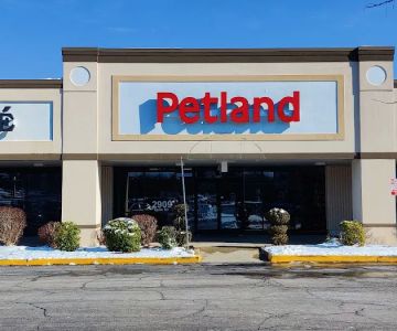 Petland Lexington