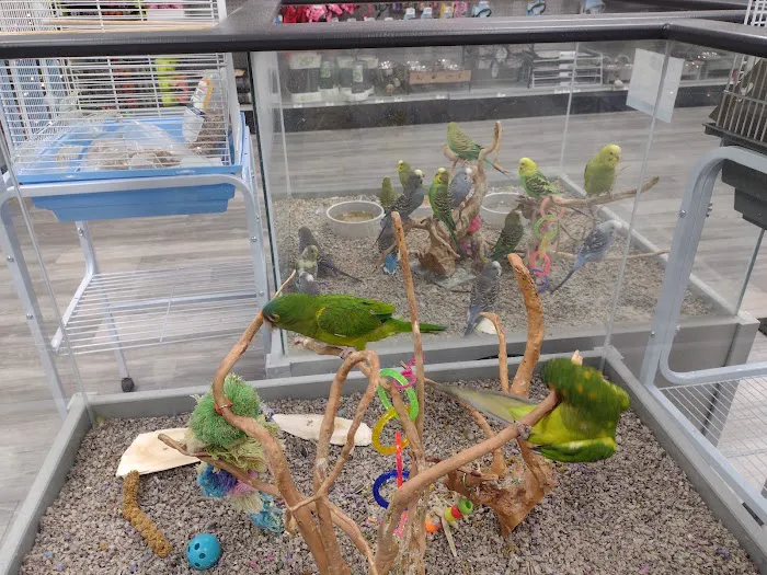 Petland Lexington 2