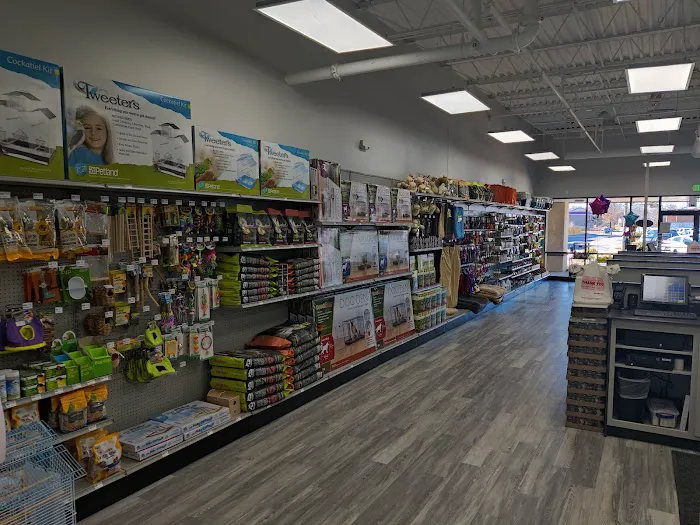 Petland Lexington 4