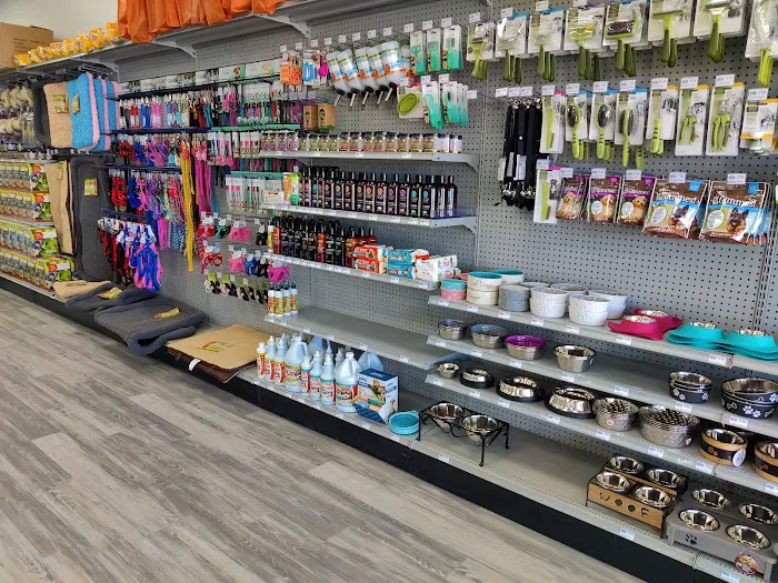 Petland Lexington 7