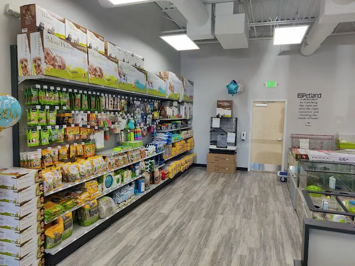 Petland Lexington 10