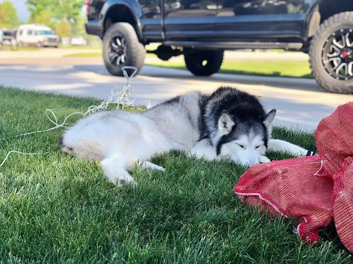 Towne & Country Animal Hospital 12