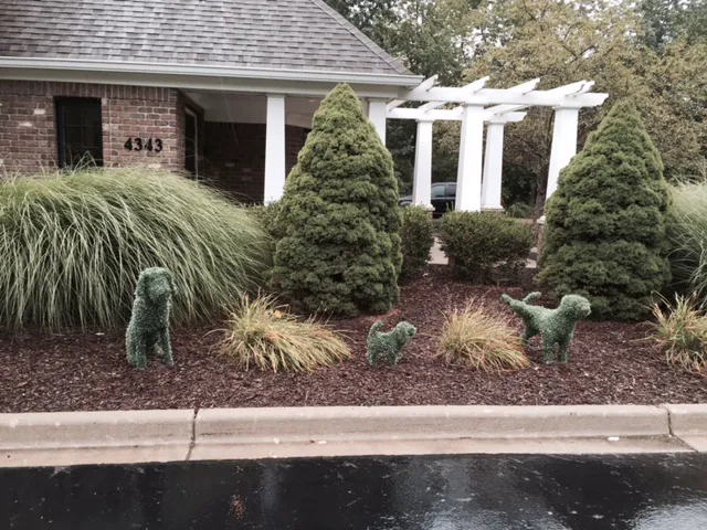 Towne & Country Animal Hospital 12