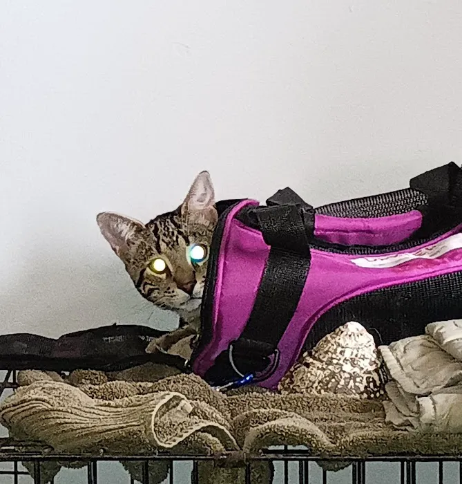 Capital Area Humane Society Spay & Neuter Clinic 9