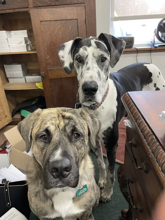 Willoughby Veterinary Hospital of Holt 4