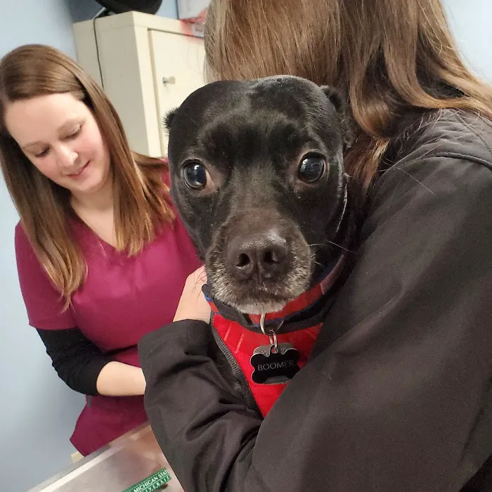 Willoughby Veterinary Hospital of Holt 9