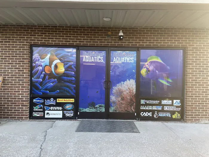 Big Blue Reef Aquatics 12