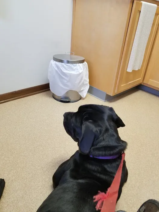 Caring Animal Hospital 7