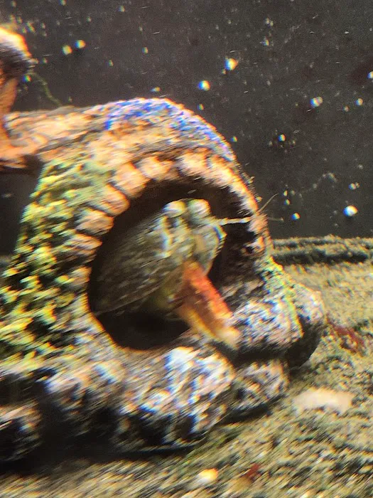 Aquatic Gallery 12