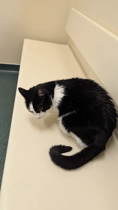 Holt Veterinary Clinic 4