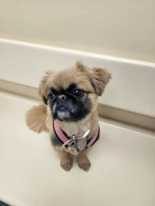 Holt Veterinary Clinic 6