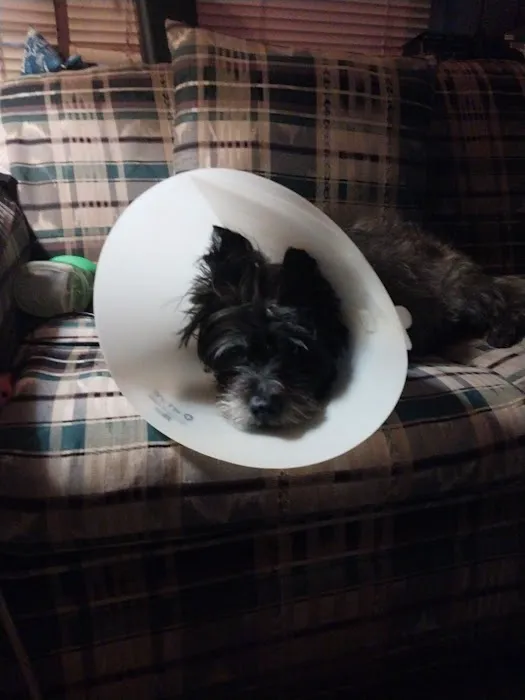Holt Veterinary Clinic 9