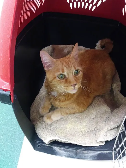 Holt Veterinary Clinic 8