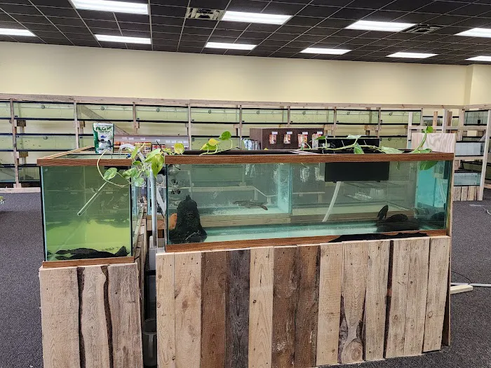 Natural AquariumZ 12