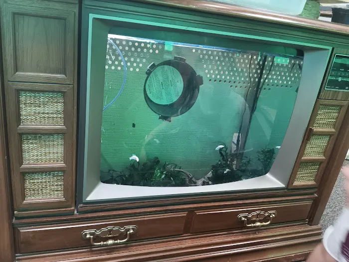 Natural AquariumZ 12