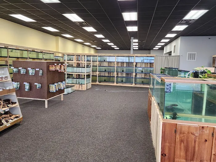 Natural AquariumZ 12