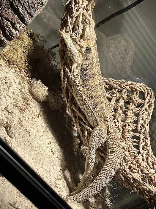 Natural AquariumZ 12