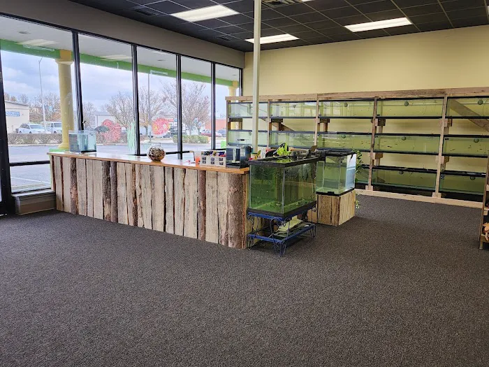 Natural AquariumZ 12