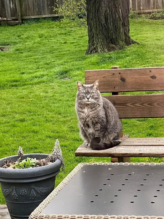Countryside Animal Clinic 5