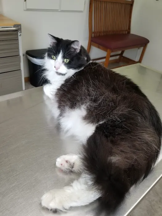 Countryside Animal Clinic 9