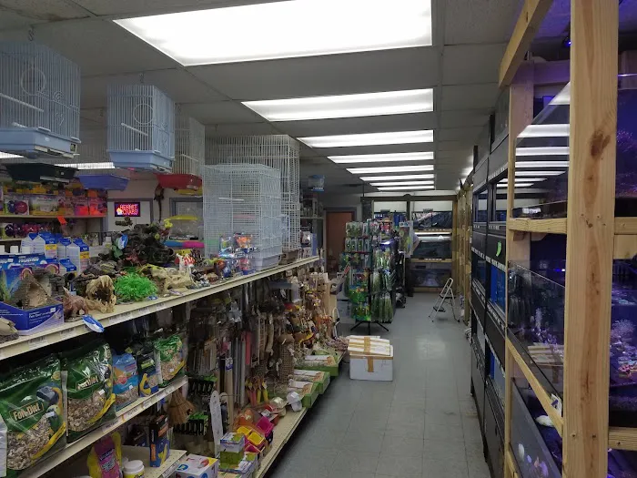 Pet Paradise II 12