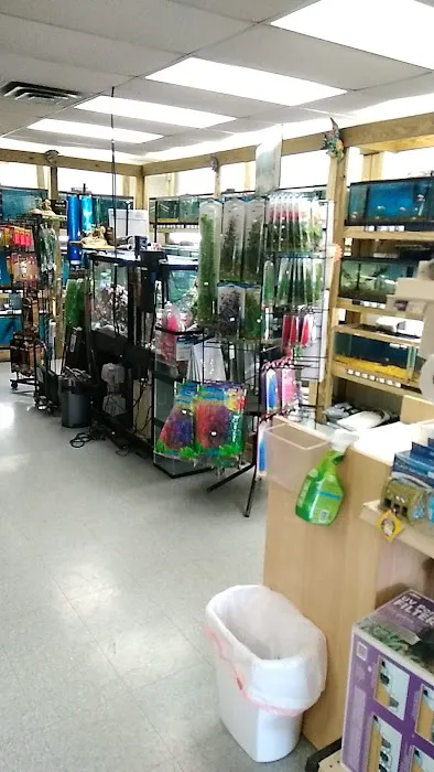 Pet Paradise II 12