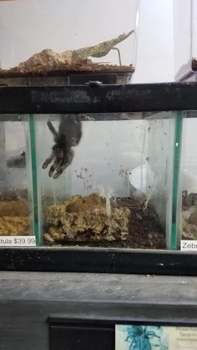 Pet Paradise II 12