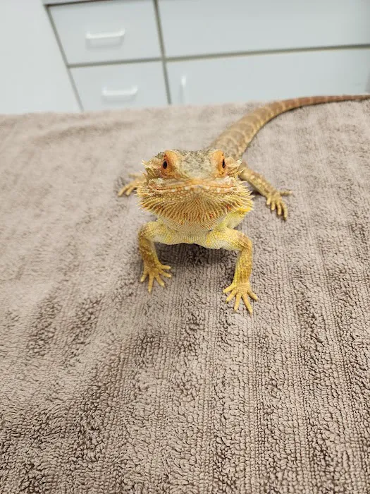 Jolly Road Veterinary Hospital 5
