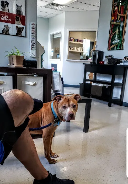 Jolly Road Veterinary Hospital 8