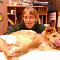 Sandhill Veterinary Services ico