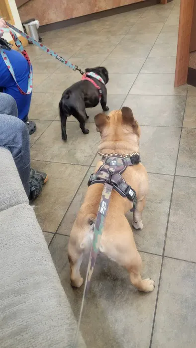 Schultz Veterinary Clinic 1