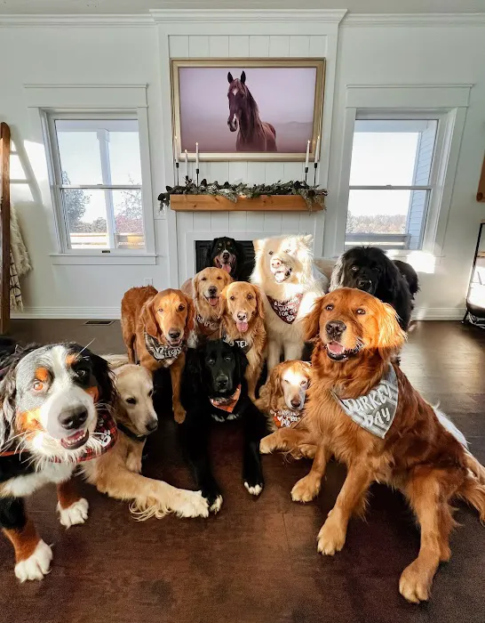 Schultz Veterinary Clinic 6