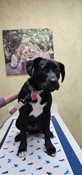 Schultz Veterinary Clinic 7